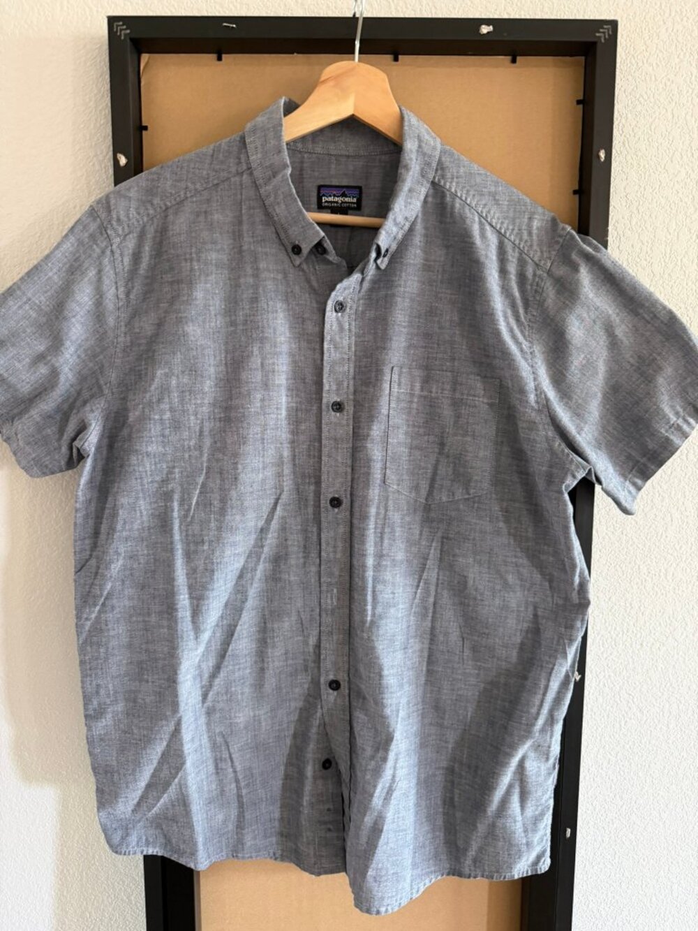 Patagonia Organic Cotton Short-Sleeve Button-Down